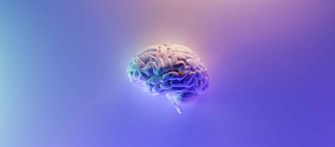 brain_sp